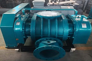 山東SR300高壓力雙油箱羅茨鼓風(fēng)機